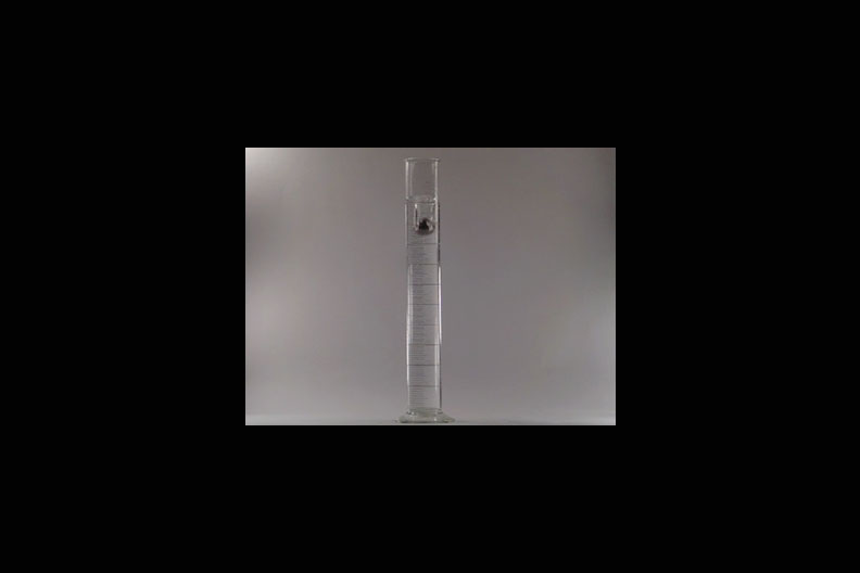 A photo of a hollow clear tube with a ball being dropped down it.