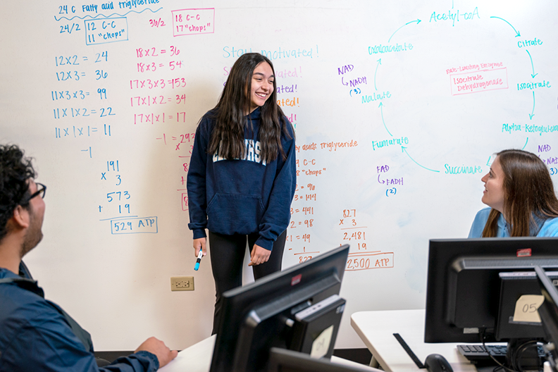 Students by Whiteboard